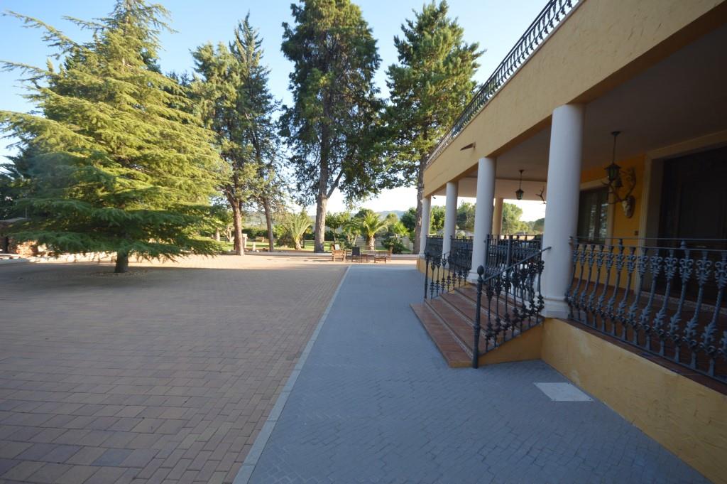 Vente - Villa - Salinas