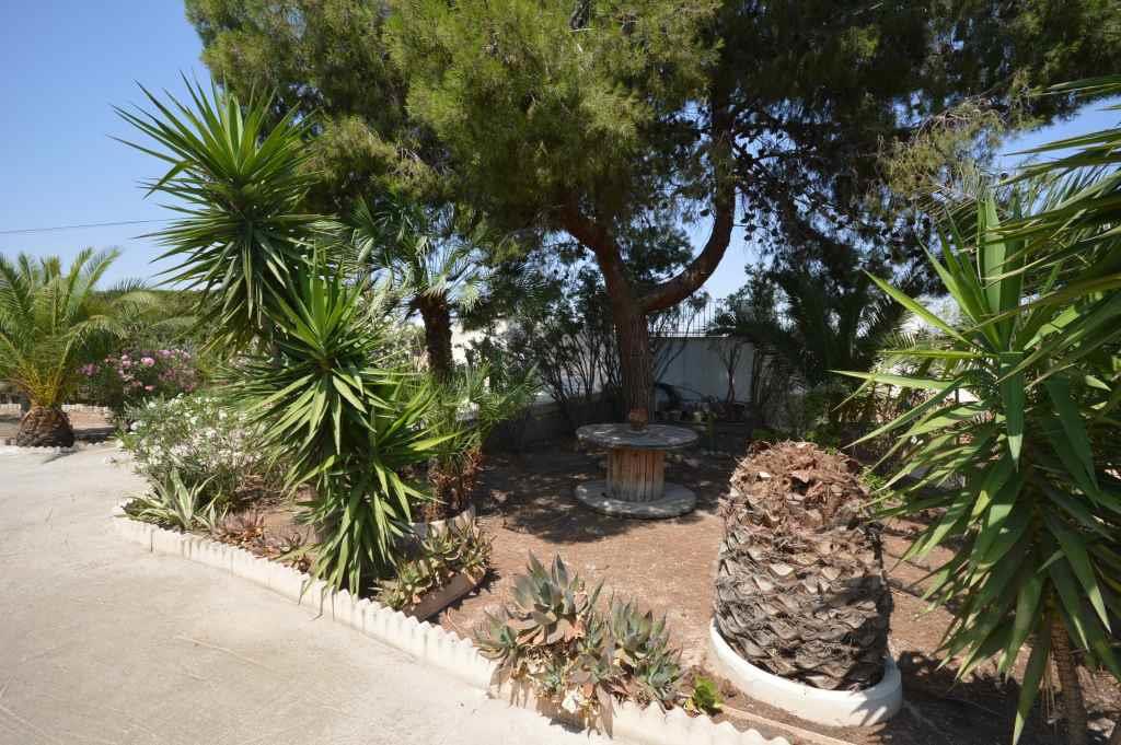 Alquiler  - Villa - Aspe