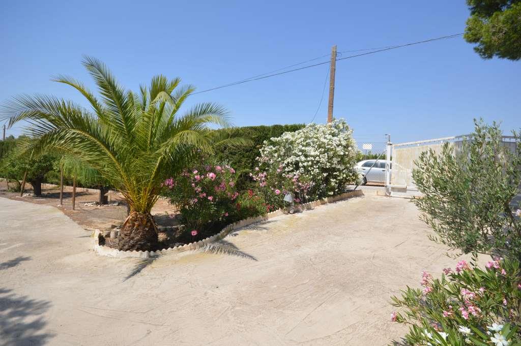 Alquiler  - Villa - Aspe