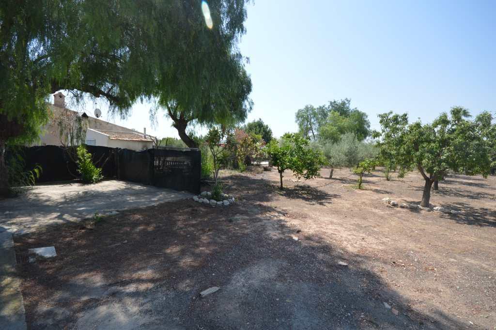 Alquiler  - Villa - Aspe