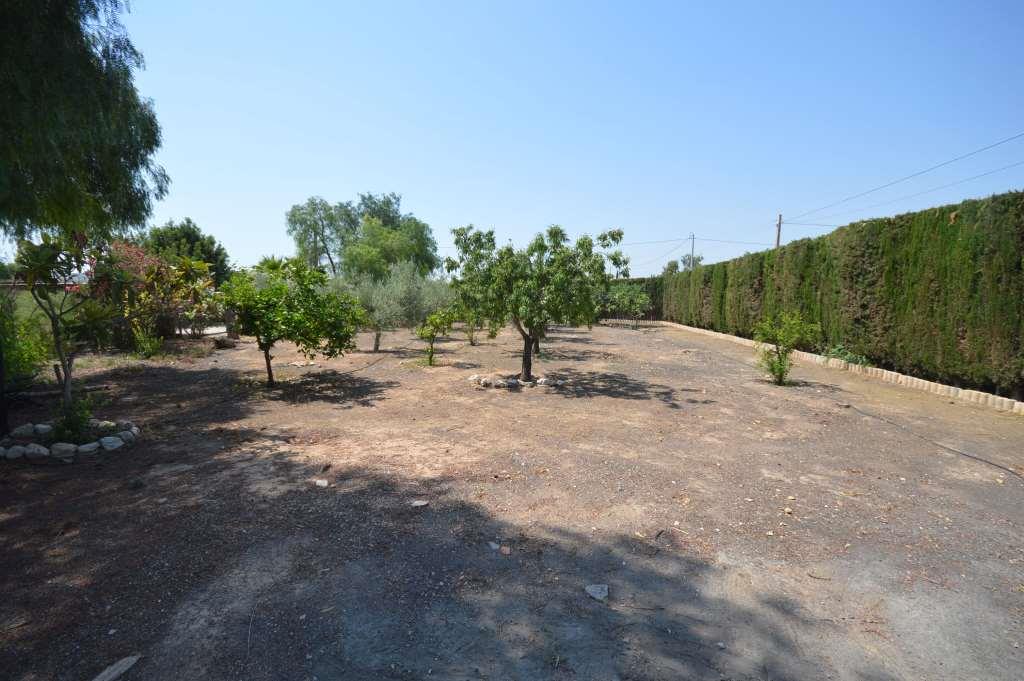 Alquiler  - Villa - Aspe