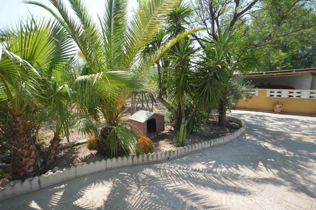 Alquiler  - Villa - Aspe