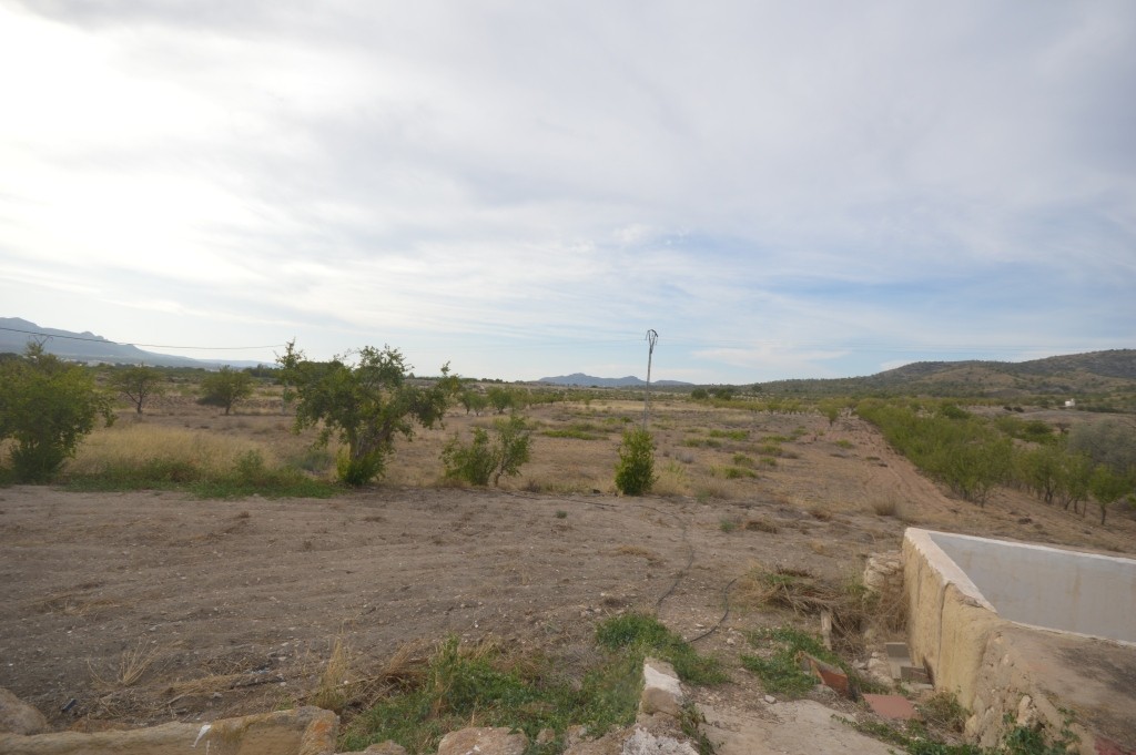 zu verkaufen - Hütte - Petrer