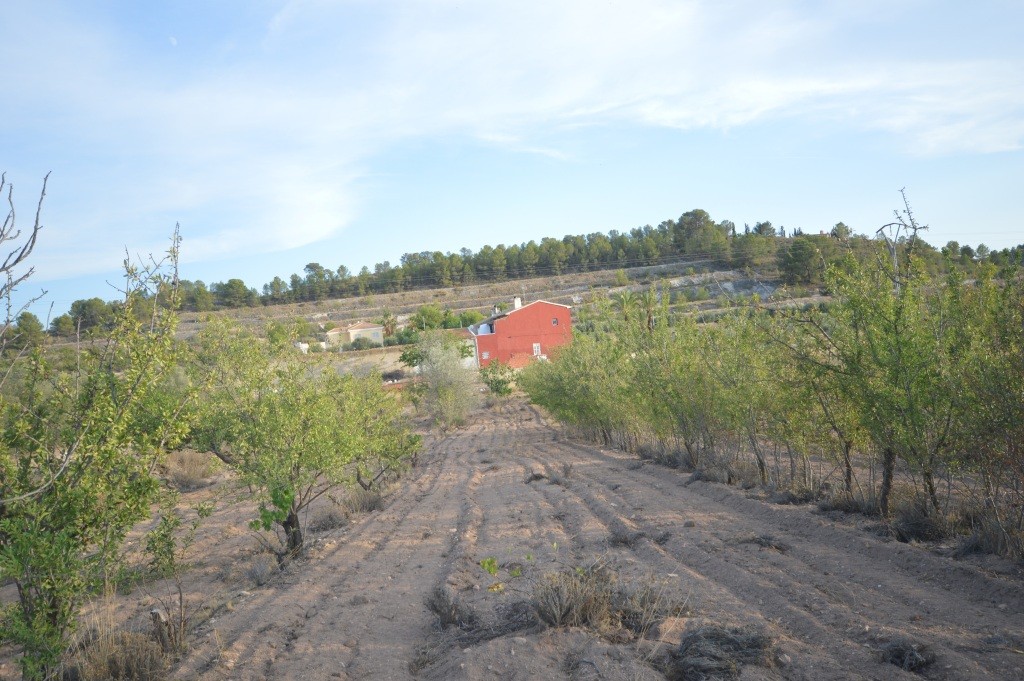 zu verkaufen - Hütte - Petrer