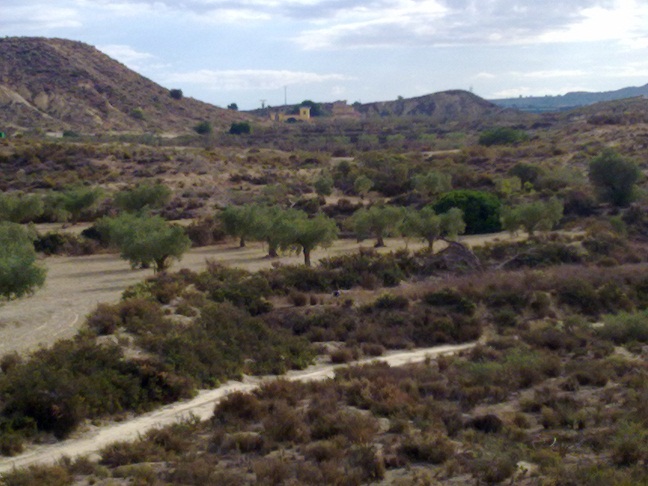 Na sprzedaż - Land - Torremendo