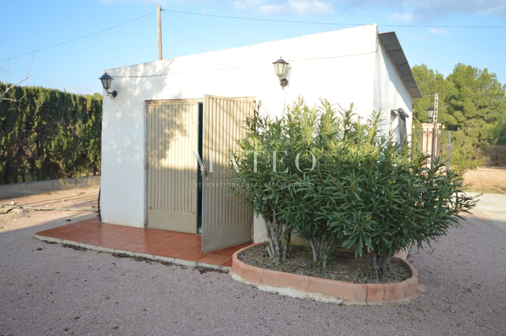 Czynsz - Villa - Aspe