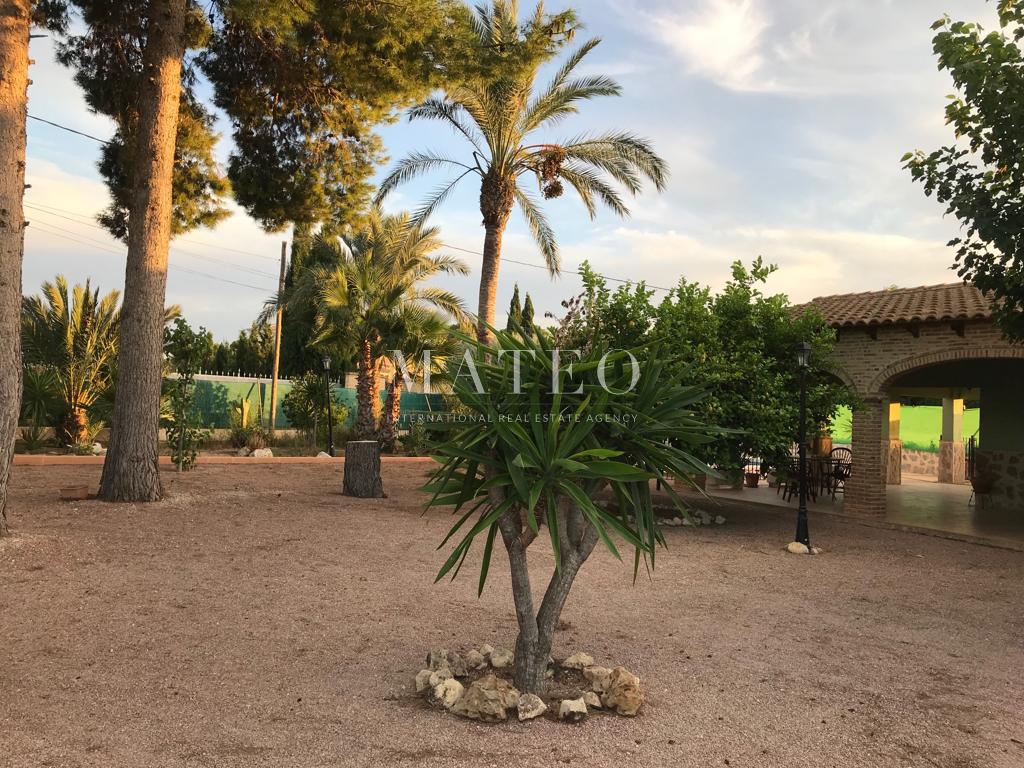 Czynsz - Villa - Aspe