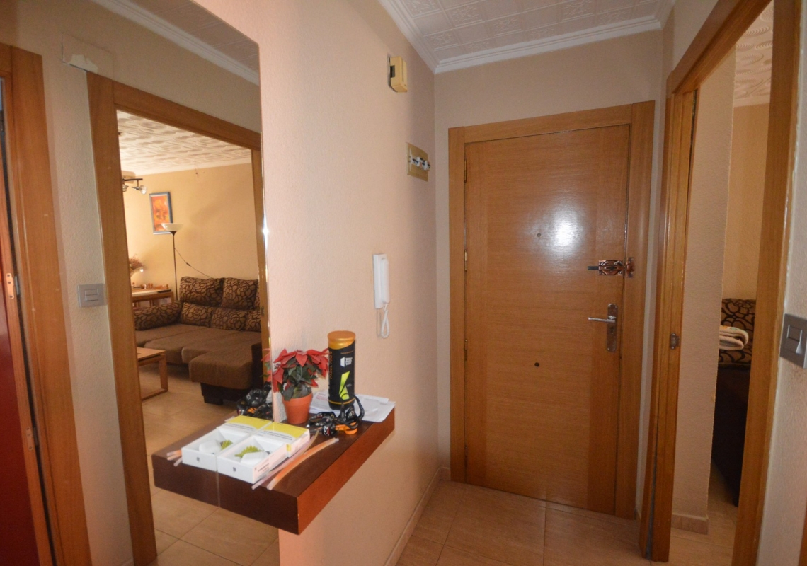 louer - appartement - Elche - El Pla