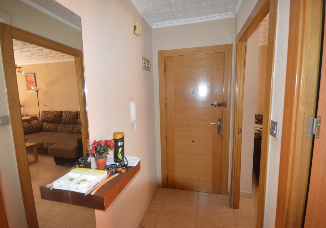 louer - appartement - Elche - El Pla