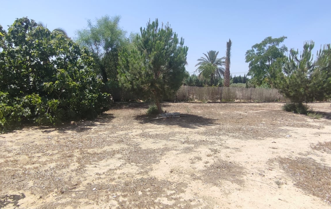 Vente - Villa - Elche Pedanias - Algodos Matola