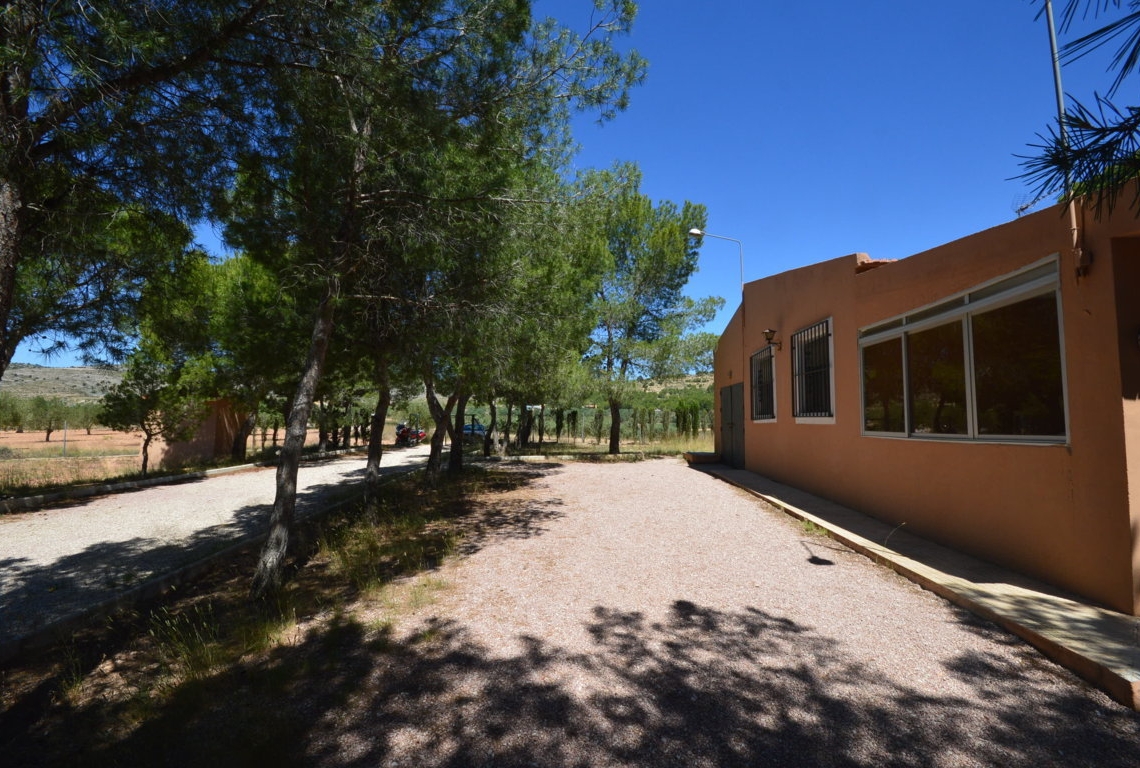 Alquiler  - Villa - Villena