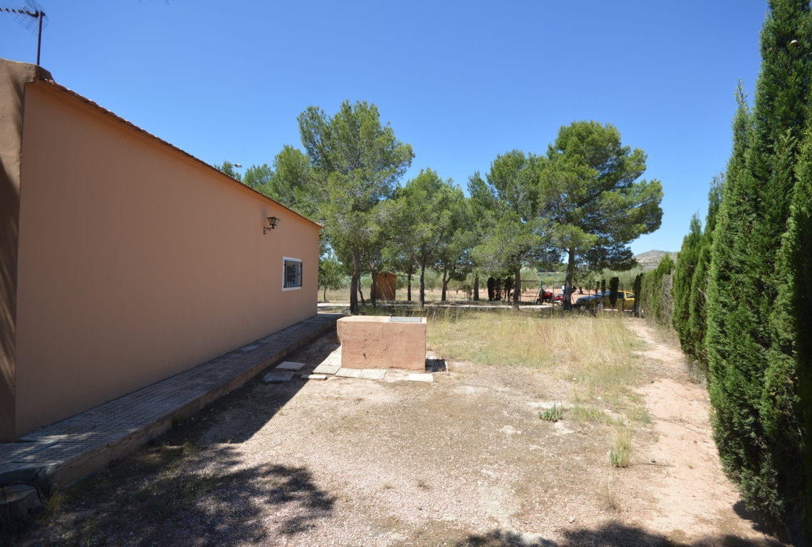 Alquiler  - Villa - Villena