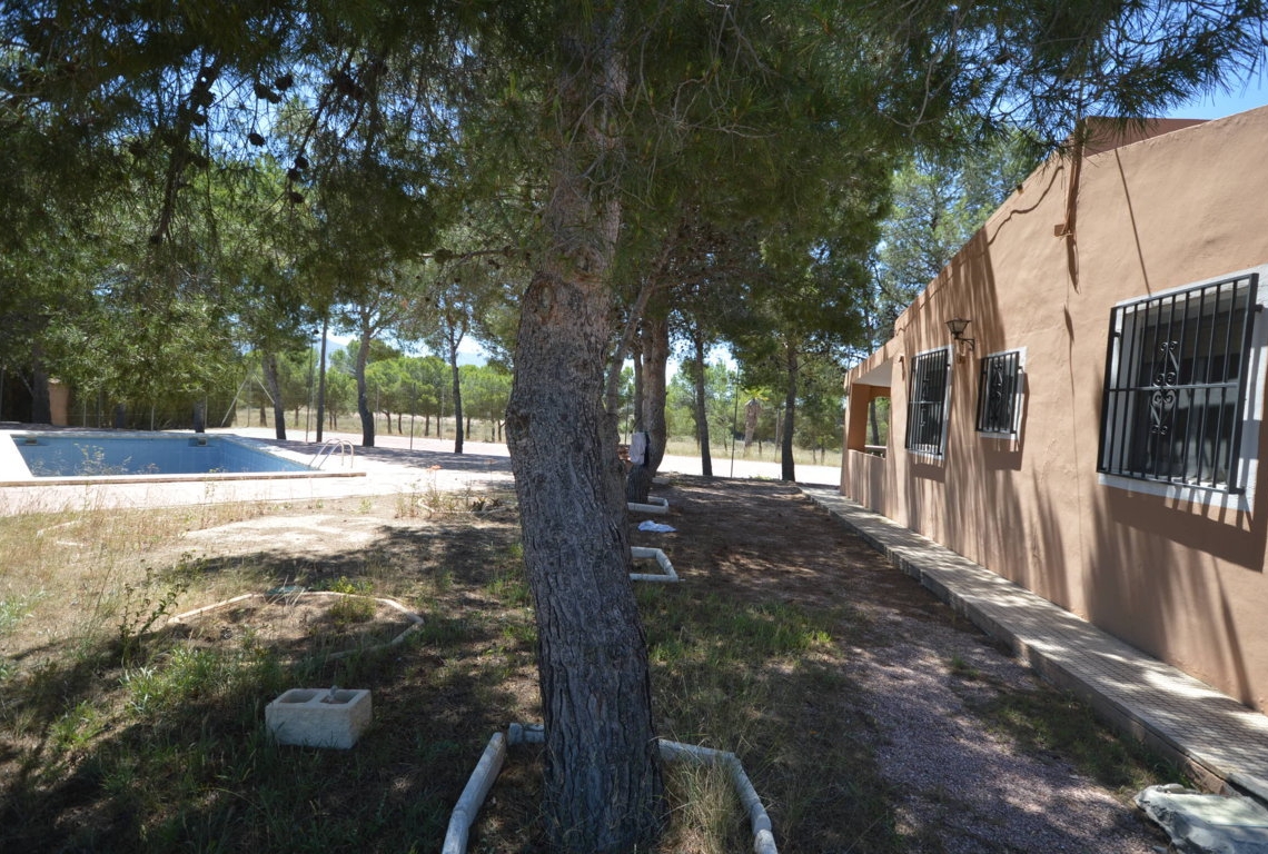 Alquiler  - Villa - Villena