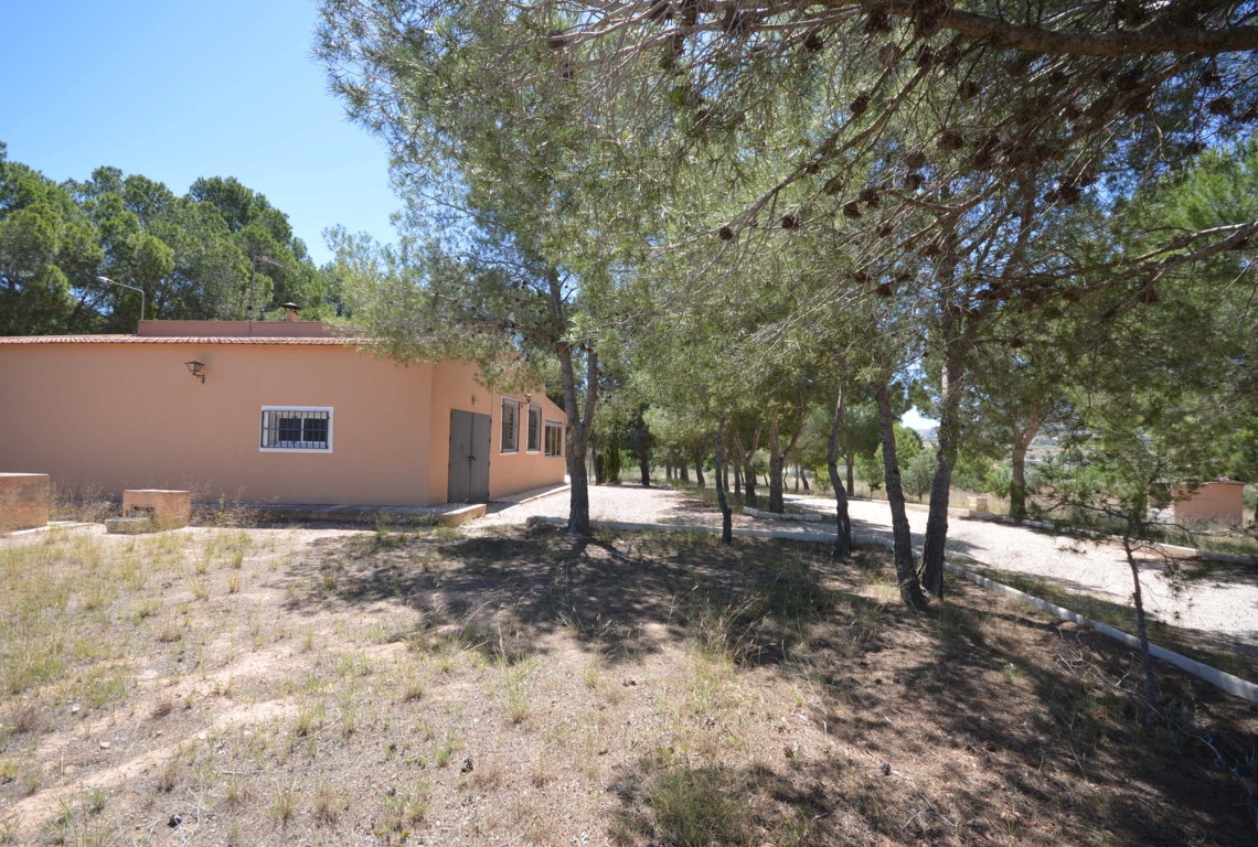 Alquiler  - Villa - Villena