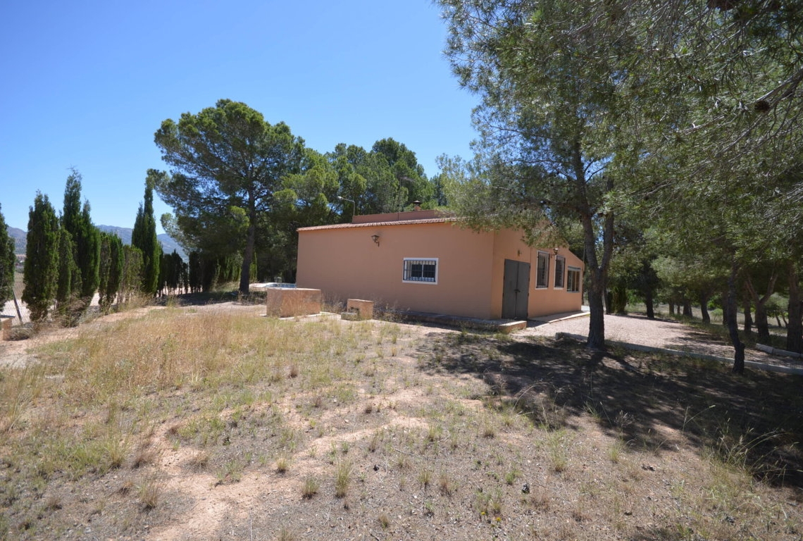 Alquiler  - Villa - Villena