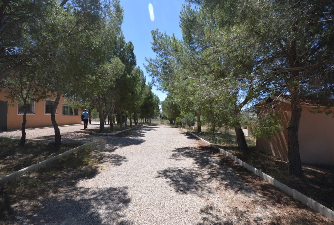 Alquiler  - Villa - Villena