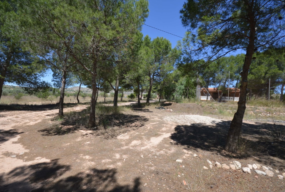 Alquiler  - Villa - Villena