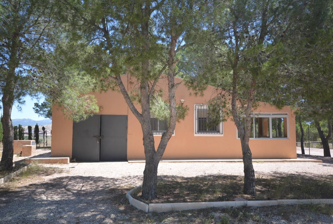 Alquiler  - Villa - Villena