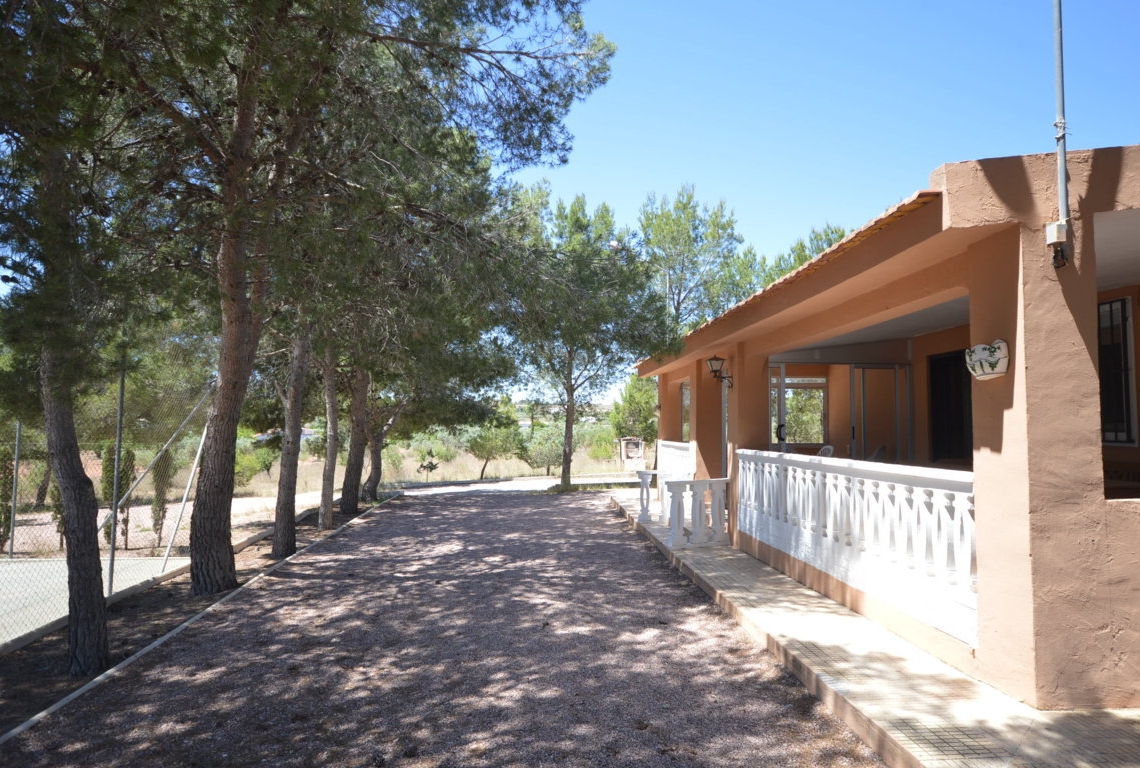 Alquiler  - Villa - Villena