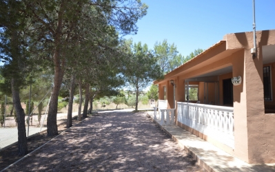 Villa - Til Leie - Villena - Villena