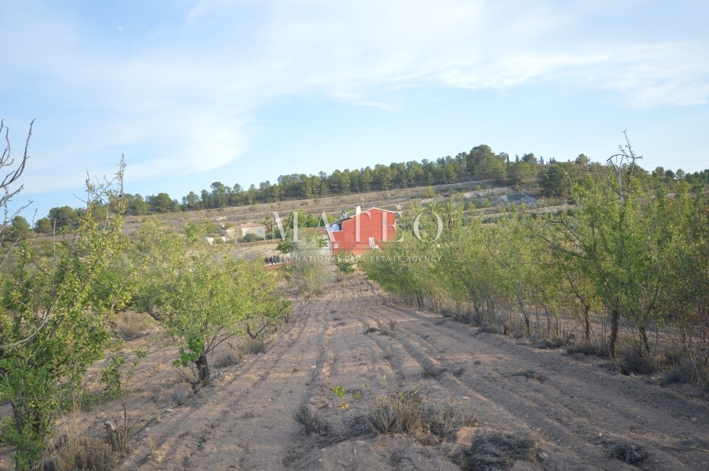 zu verkaufen - Hütte - Petrer