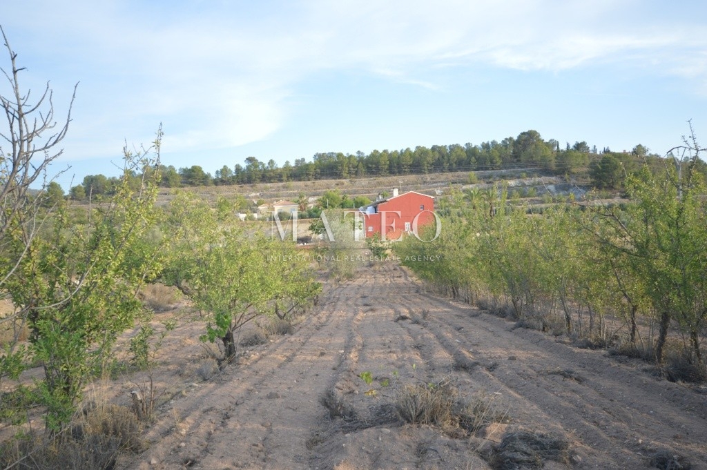 zu verkaufen - Hütte - Petrer