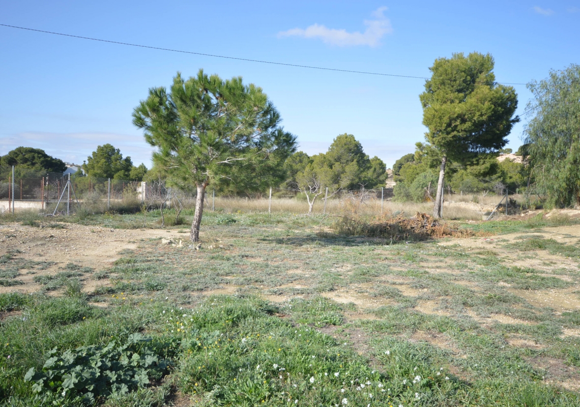 Alquiler  - Villa - Monóvar - Ecociudad