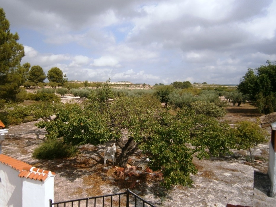 Na sprzedaż - Country House - Albaida