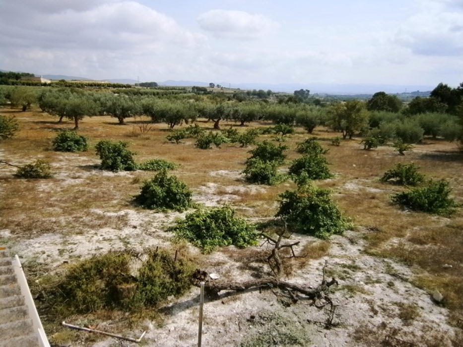 Na sprzedaż - Country House - Albaida