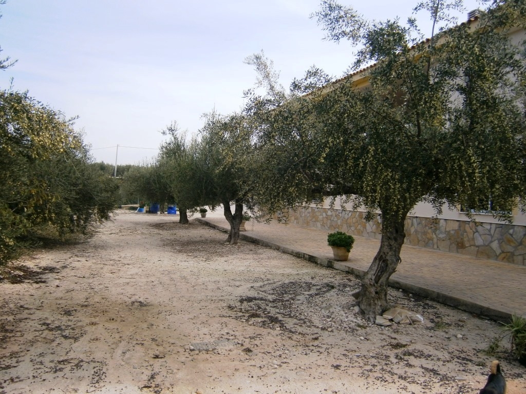 Verkauf - Country House - Cocentaina