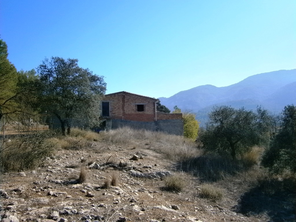 Na sprzedaż - Finca - Agres