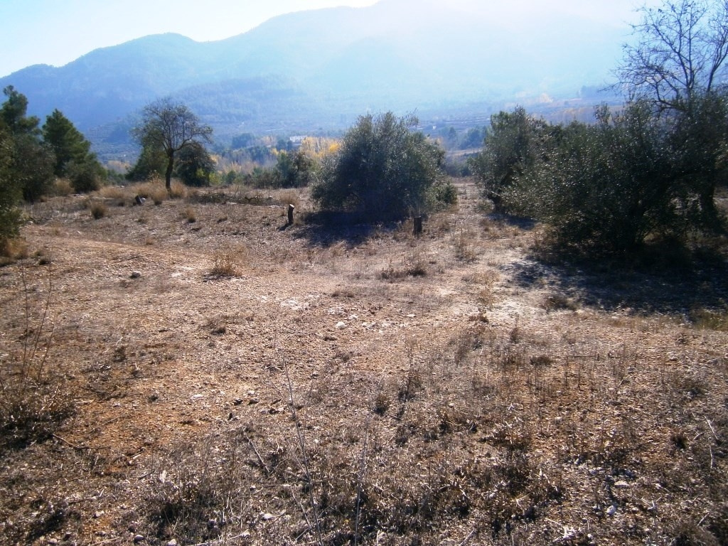 Na sprzedaż - Finca - Agres