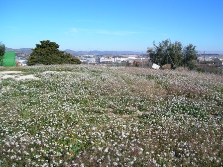 Na sprzedaż - Country House - Ontinyent