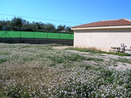 Na sprzedaż - Country House - Ontinyent