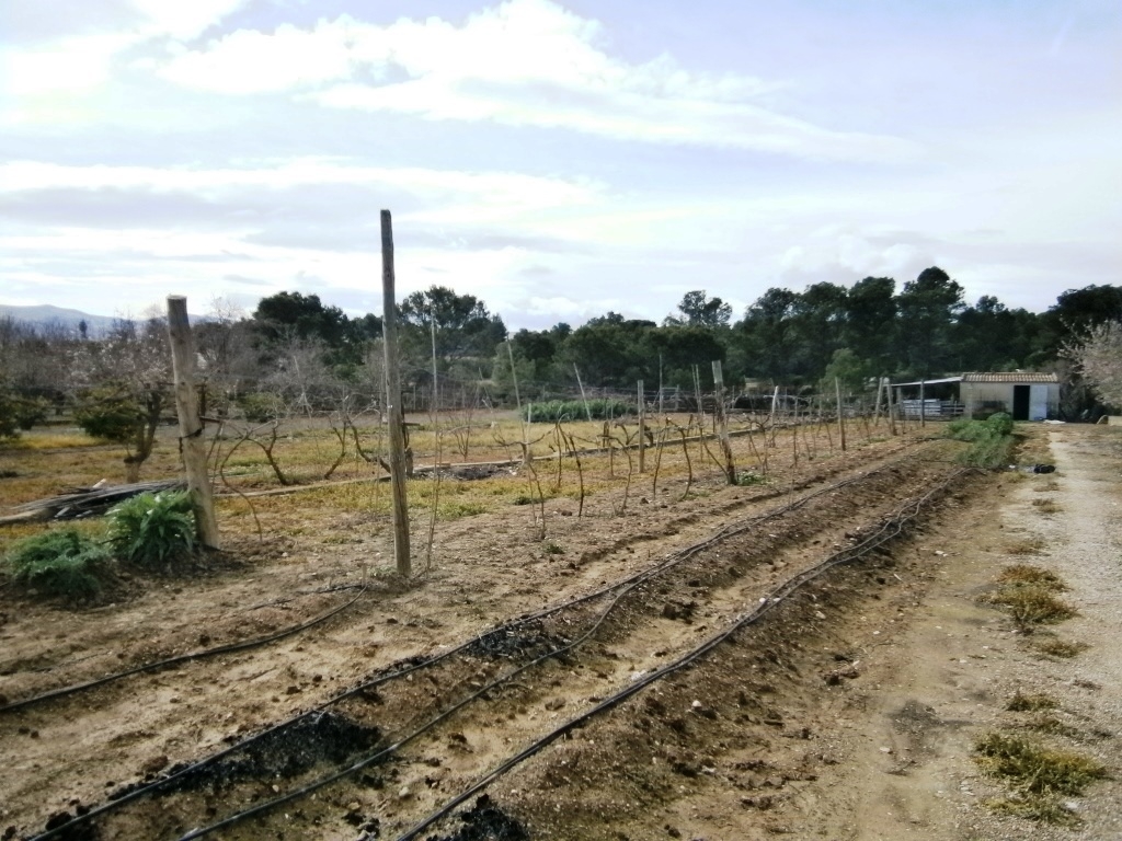 Na sprzedaż - Country House - Ontinyent