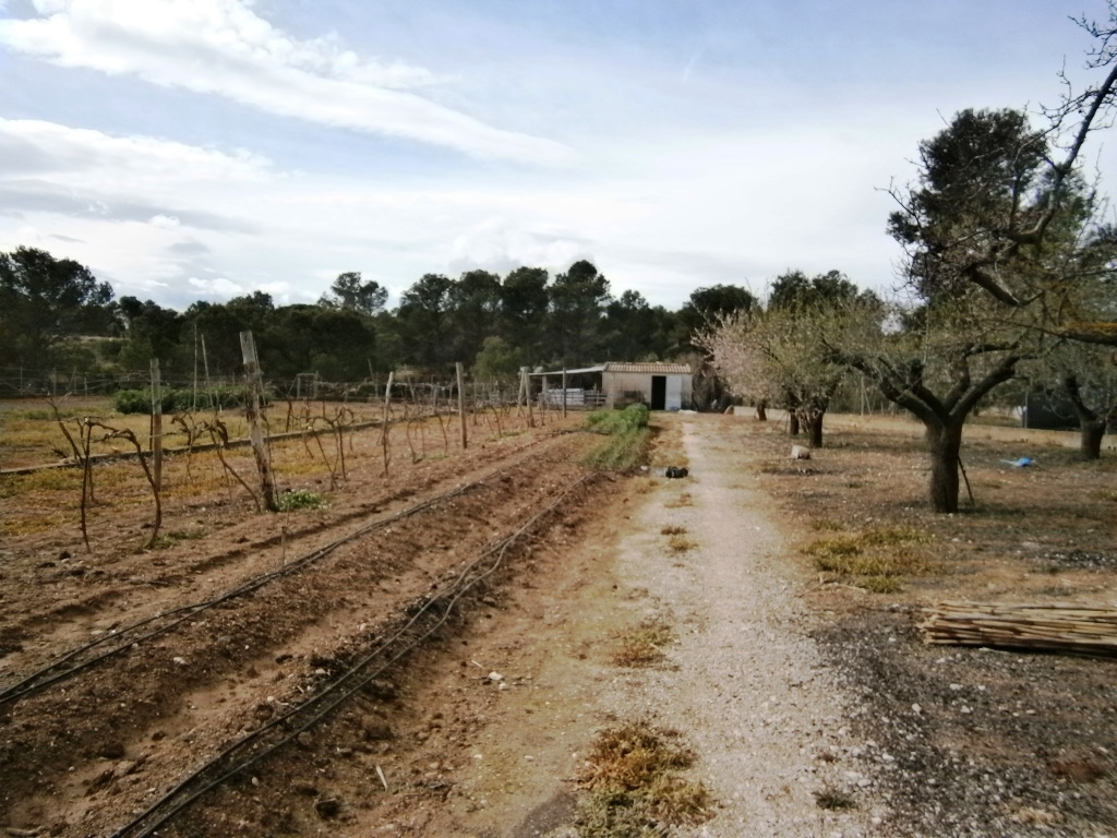 Na sprzedaż - Country House - Ontinyent
