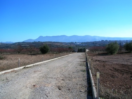 Na sprzedaż - Finca - Albaida