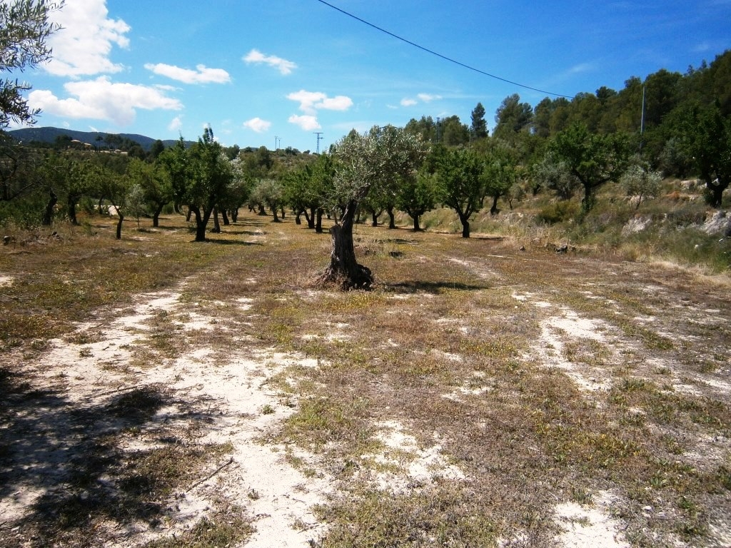 Verkauf - Country House - Penáguila