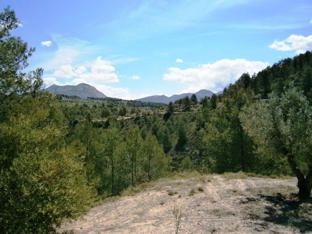 Verkauf - Country House - Penáguila