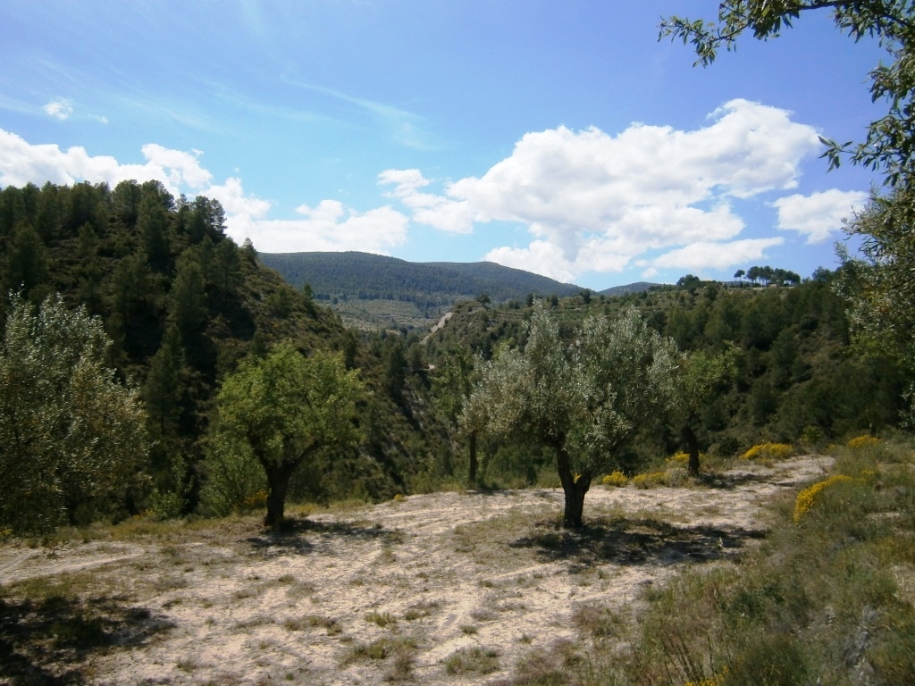 Verkauf - Country House - Penáguila