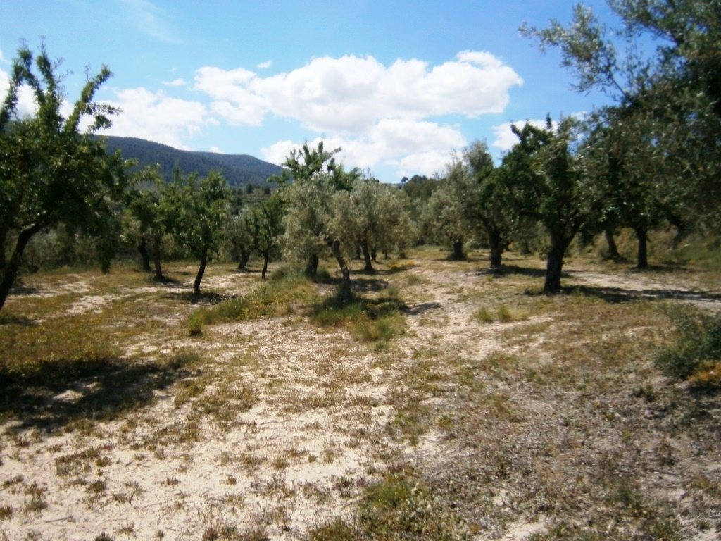 Verkauf - Country House - Penáguila