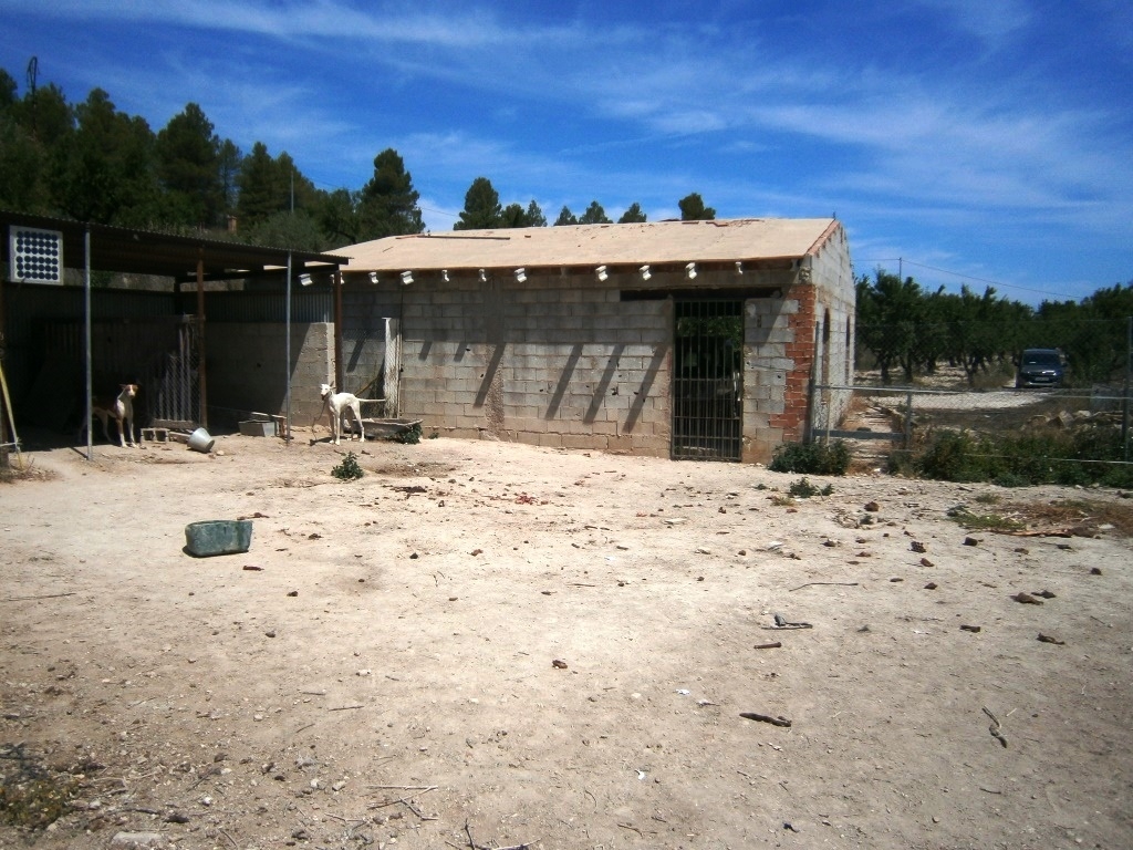 Verkauf - Country House - Penáguila