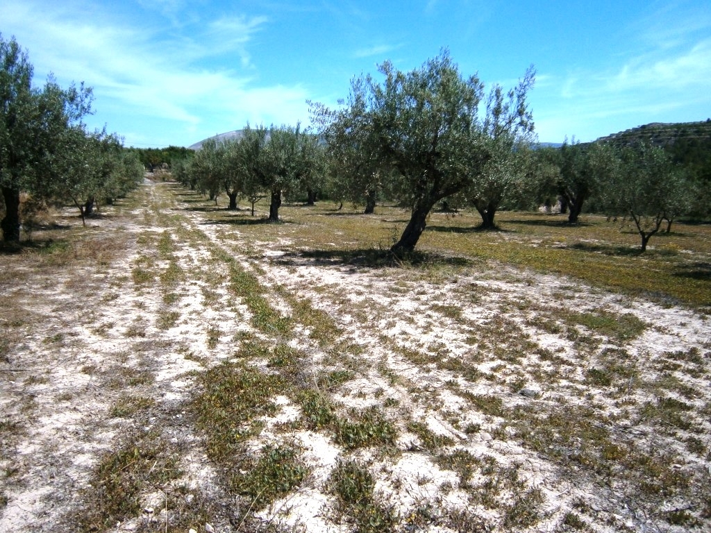 Verkauf - Country House - Penáguila