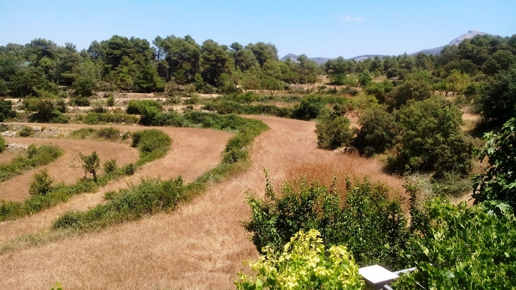 Verkauf - Finca - Penáguila