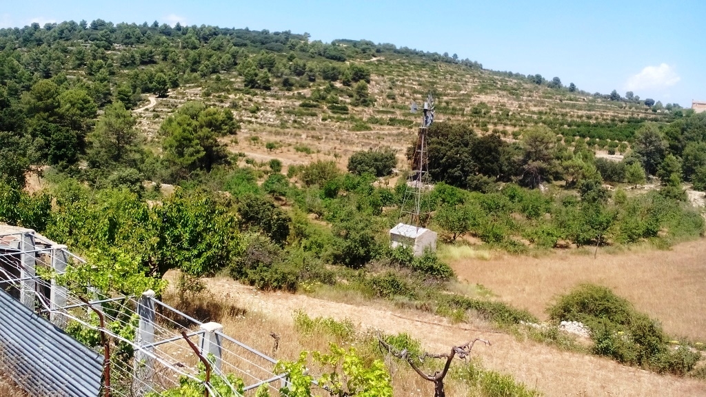 Verkauf - Finca - Penáguila