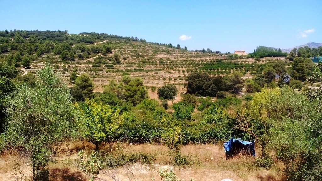 Verkauf - Finca - Penáguila