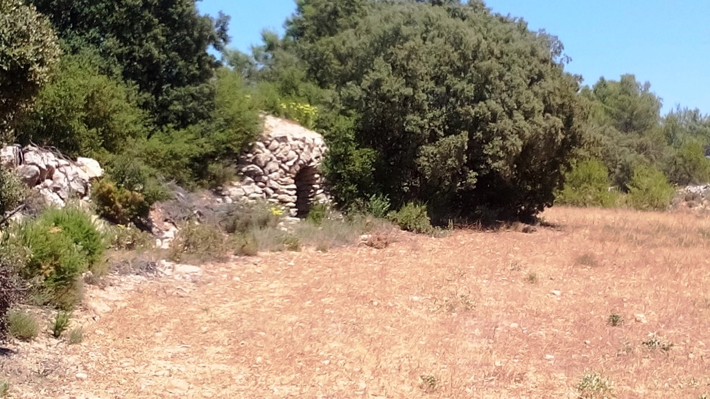 Verkauf - Finca - Penáguila