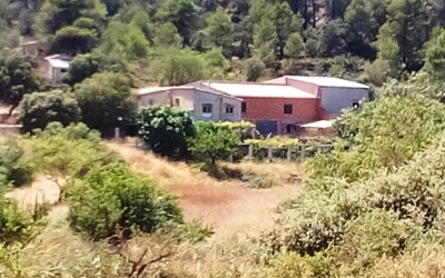 Finca - Vente - Penáguila - Penáguila