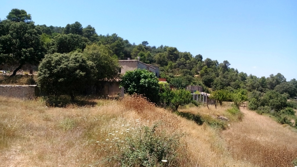 Verkauf - Finca - Penáguila