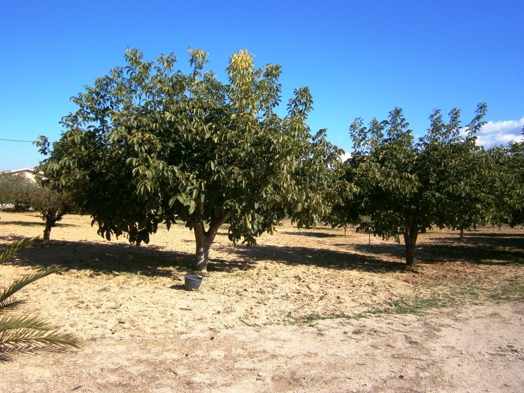 Videresalg - Country House - Ontinyent